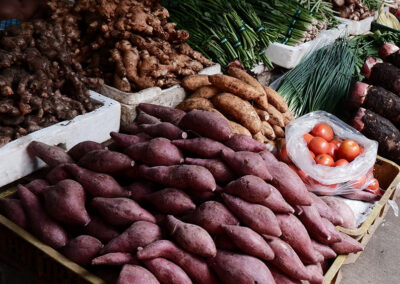 Sweet Potato